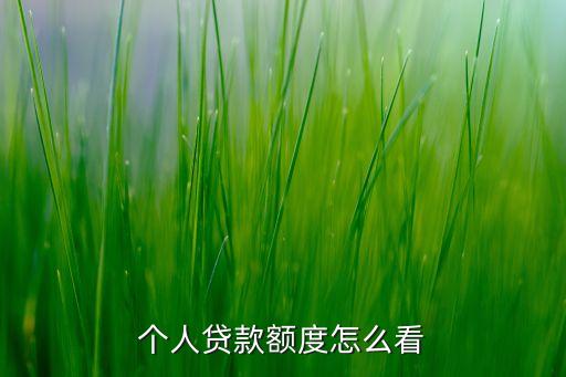 怎么查自己能貸款多少，個人貸款額度怎么看