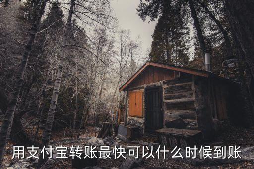 用支付寶轉(zhuǎn)賬最快可以什么時(shí)候到賬