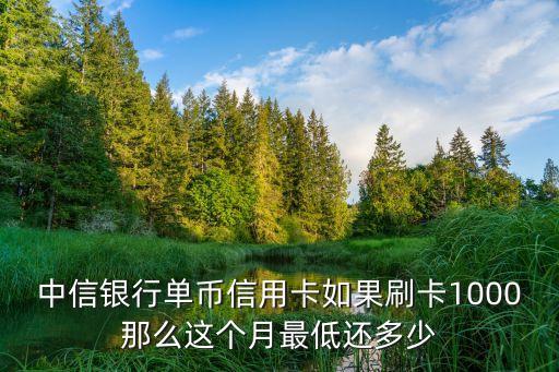 中信visa 還款多少，中信銀行單幣信用卡如果刷卡1000那么這個月最低還多少