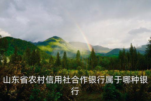 山東省農(nóng)村信用社合作銀行屬于哪種銀行
