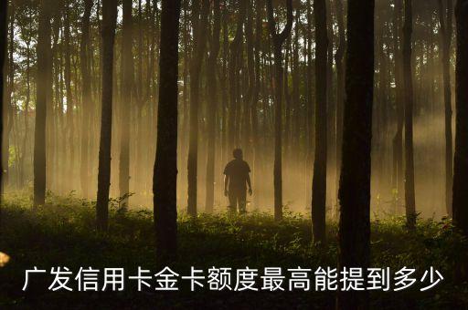 廣發(fā)信用卡金卡額度最高能提到多少