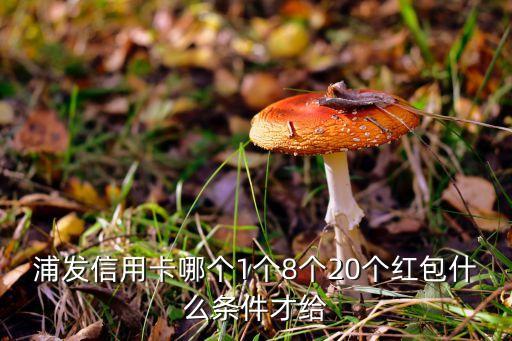 浦發(fā)信用卡哪個(gè)1個(gè)8個(gè)20個(gè)紅包什么條件才給