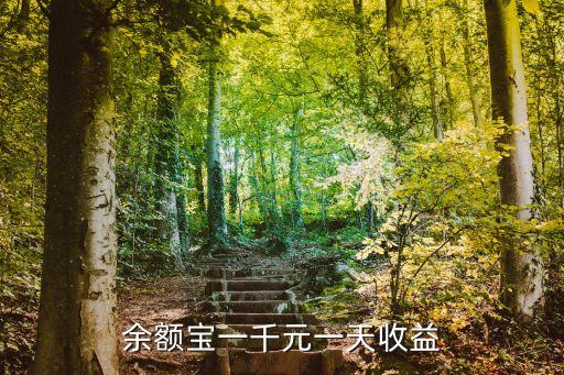 余額寶一千元一天收益