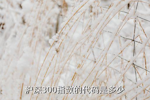 博時(shí)滬深300在股市上的代碼是多少，滬深300股指期貨代碼是多少