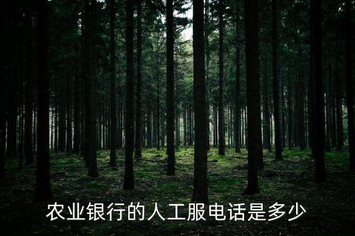 山東臨沂農(nóng)業(yè)銀行客服電話是多少，農(nóng)業(yè)銀行的人工服電話是多少