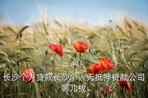 長(zhǎng)沙個(gè)人貸款長(zhǎng)沙個(gè)人無(wú)抵押貸款公司哪兒找