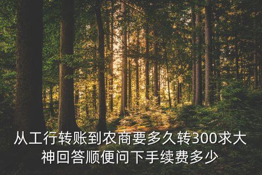 從工行轉(zhuǎn)賬到農(nóng)商要多久轉(zhuǎn)300求大神回答順便問(wèn)下手續(xù)費(fèi)多少