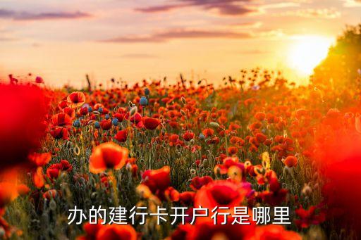 建行開戶行是什么，請(qǐng)問(wèn)申請(qǐng)百度聯(lián)盟中的建行開戶行是什么意思