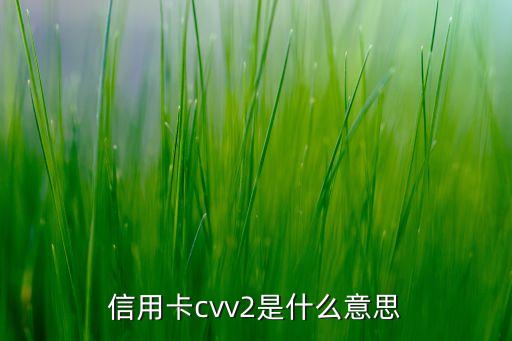 cvv c 2是什么，信用卡cvv2是什么意思
