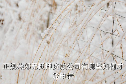 正規(guī)燕郊無抵押貸款公司有哪些如何才能申請(qǐng)