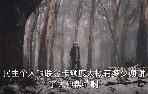 民生個(gè)人銀聯(lián)金卡額度是多少，民生銀聯(lián)東航金卡的額度是多少