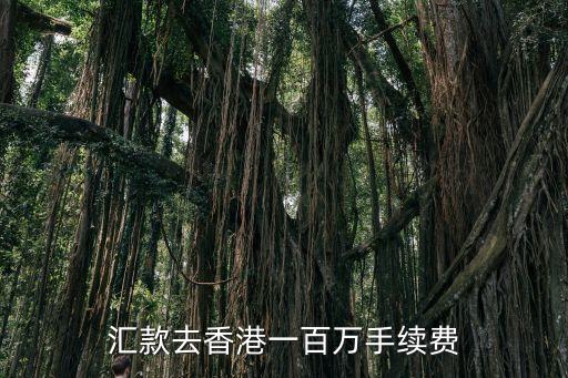 建設(shè)銀行向香港匯款手續(xù)費多少，什么銀行的柜臺可以把錢匯到香港去手續(xù)費多少