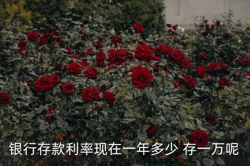 銀行存款利率現(xiàn)在一年多少 存一萬呢