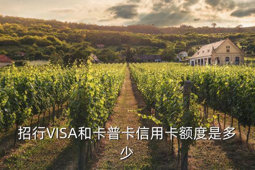 招行VISA和卡普卡信用卡額度是多少