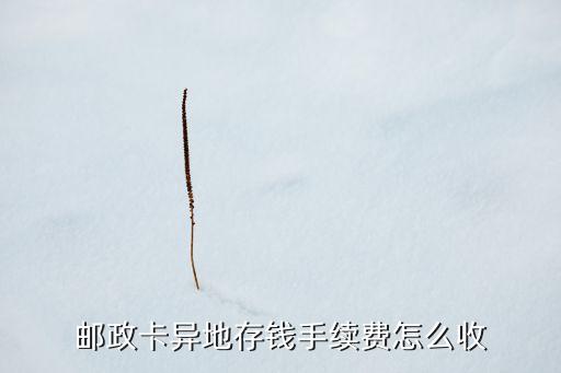 郵政卡異地存錢手續(xù)費怎么收