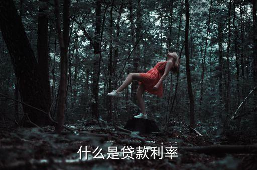 什么是貸款利率