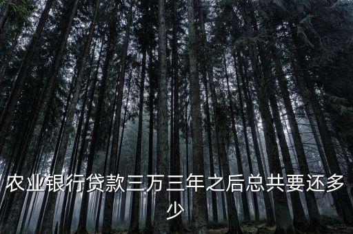 你我貸貸了三萬三年后還多少，農(nóng)業(yè)銀行貸款三萬三年之后總共要還多少
