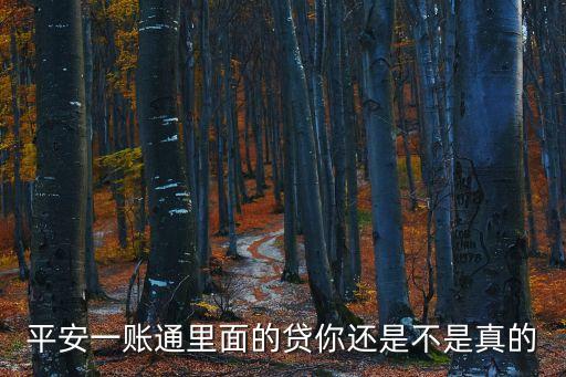 平安一賬通里面的貸你還是不是真的