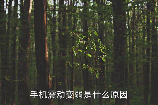 手機(jī)銀行使用少的原因是什么，下了個(gè)手機(jī)銀行卡里面的錢老是無緣無故的減少是怎么回事啊