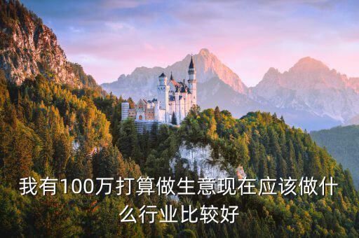 100萬(wàn)投資什么實(shí)體好，如果現(xiàn)有百萬(wàn)資金最好選擇什么領(lǐng)域的創(chuàng)業(yè)或投資項(xiàng)目