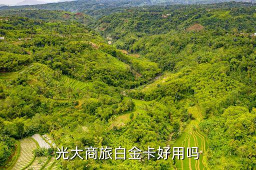 光大商旅白金卡好用嗎