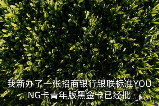 銀聯(lián)黑金卡額度多少，我新辦了一張招商銀行銀聯(lián)標(biāo)準(zhǔn)YOUNG卡青年版黑金卡已經(jīng)批