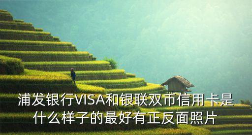 浦發(fā)銀行VISA和銀聯(lián)雙幣信用卡是什么樣子的最好有正反面照片