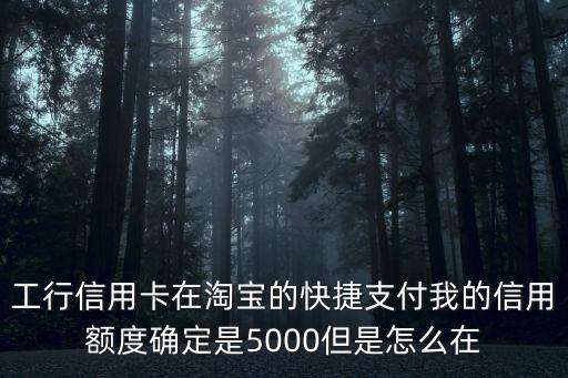 工行信用卡在淘寶的快捷支付我的信用額度確定是5000但是怎么在