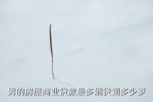 男的房屋商業(yè)貸款最多能貸到多少歲