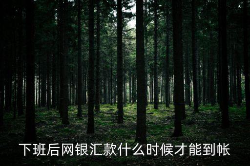 下班后網(wǎng)銀匯款什么時(shí)候才能到帳