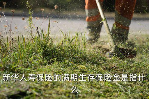 滿期金是什么意思，保險期滿金是什么意思