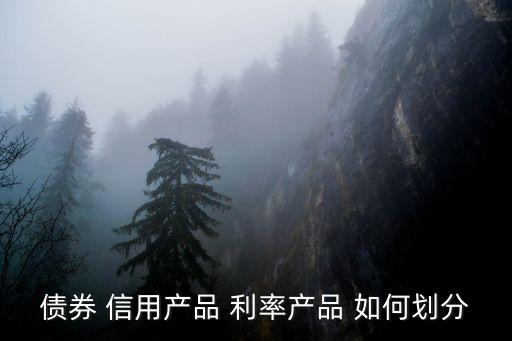 債券 信用產(chǎn)品 利率產(chǎn)品 如何劃分
