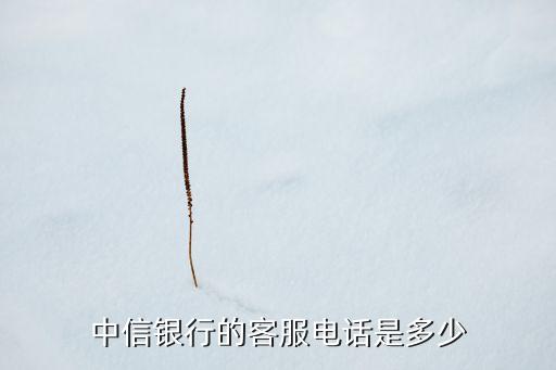 襄陽(yáng)中信銀行的電話是多少錢，中信銀行的客服電話是多少