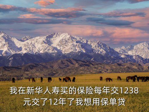 我在新華人壽買的保險每年交1238元交了12年了我想用保單貸