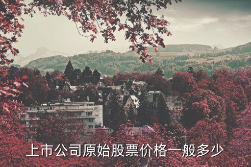 股票的股一共多少錢，一張股票是多少股