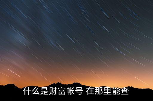什么是財(cái)富帳號(hào) 在那里能查