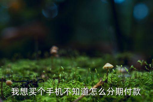 手機(jī)分期什么流程，我想買個(gè)手機(jī)不知道怎么分期付款