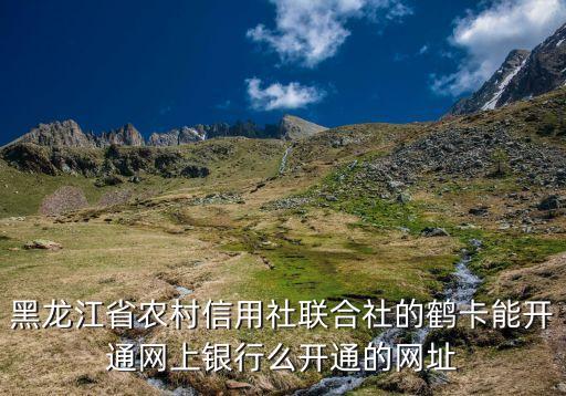 鶴卡什么銀行的，黑龍江省農(nóng)村信用社聯(lián)合社鶴卡在微信上顯示什么銀行
