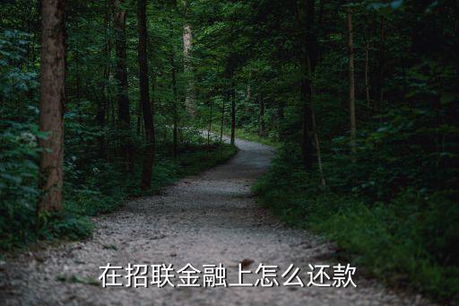 招聯(lián)好期貸什么還款，在招聯(lián)金融上怎么還款