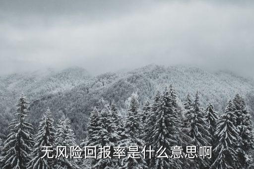 無風(fēng)險(xiǎn)回報(bào)率是什么意思啊