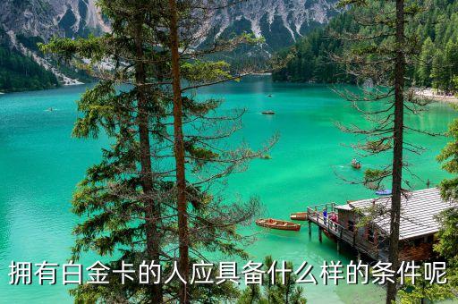 擁有白金卡的人應具備什么樣的條件呢