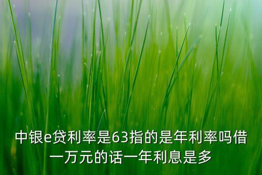 中銀e貸的日利率多少錢，中銀e貸利率是63指的是年利率嗎借一萬元的話一年利息是多