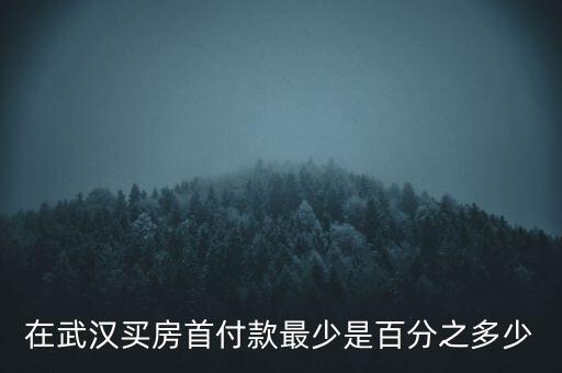在武漢買房首付款最少是百分之多少