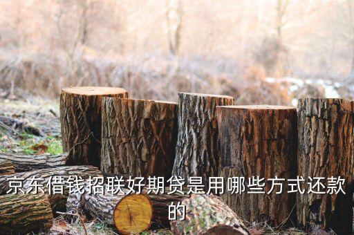 京東借錢招聯(lián)好期貸是用哪些方式還款的