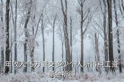 年收入15萬要交多少個人所得稅工資薪金所得
