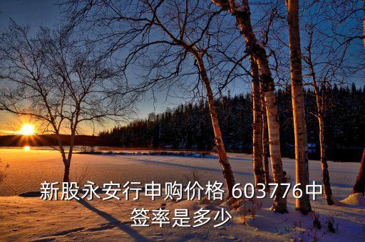 新股永安行申購價格 603776中簽率是多少