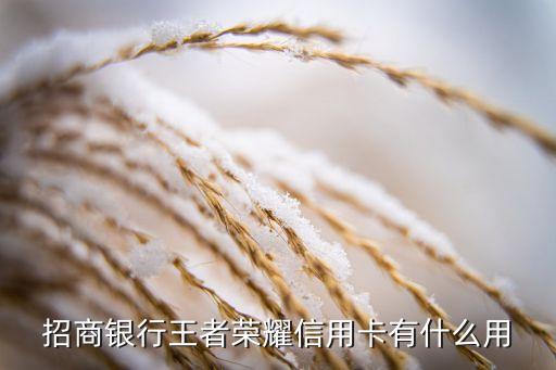招商銀行王者榮耀信用卡有什么用