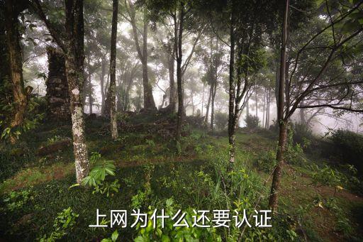網(wǎng)上交易為什么需要認(rèn)證服務(wù)，上網(wǎng)為什么還要認(rèn)證