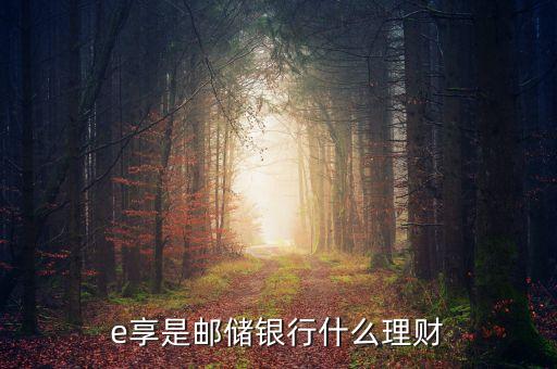 e享是郵儲(chǔ)銀行什么理財(cái)