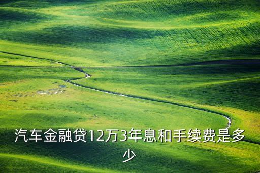 金融貸手續(xù)費(fèi)多少，汽車金融貸12萬(wàn)3年息和手續(xù)費(fèi)是多少